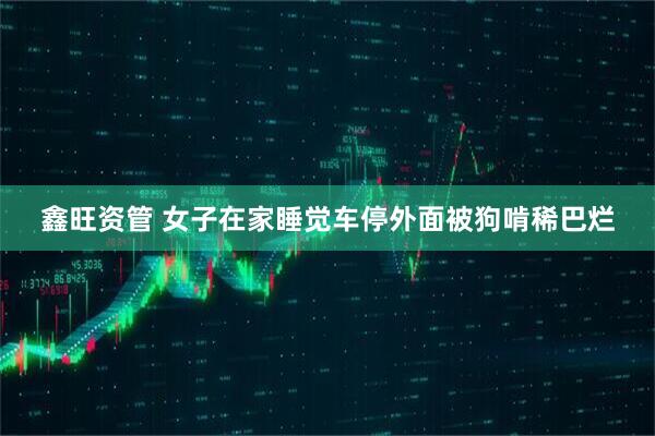 鑫旺资管 女子在家睡觉车停外面被狗啃稀巴烂