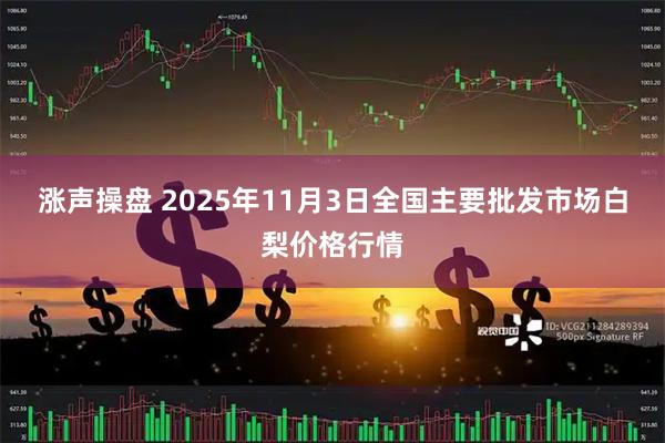 涨声操盘 2025年11月3日全国主要批发市场白梨价格行情